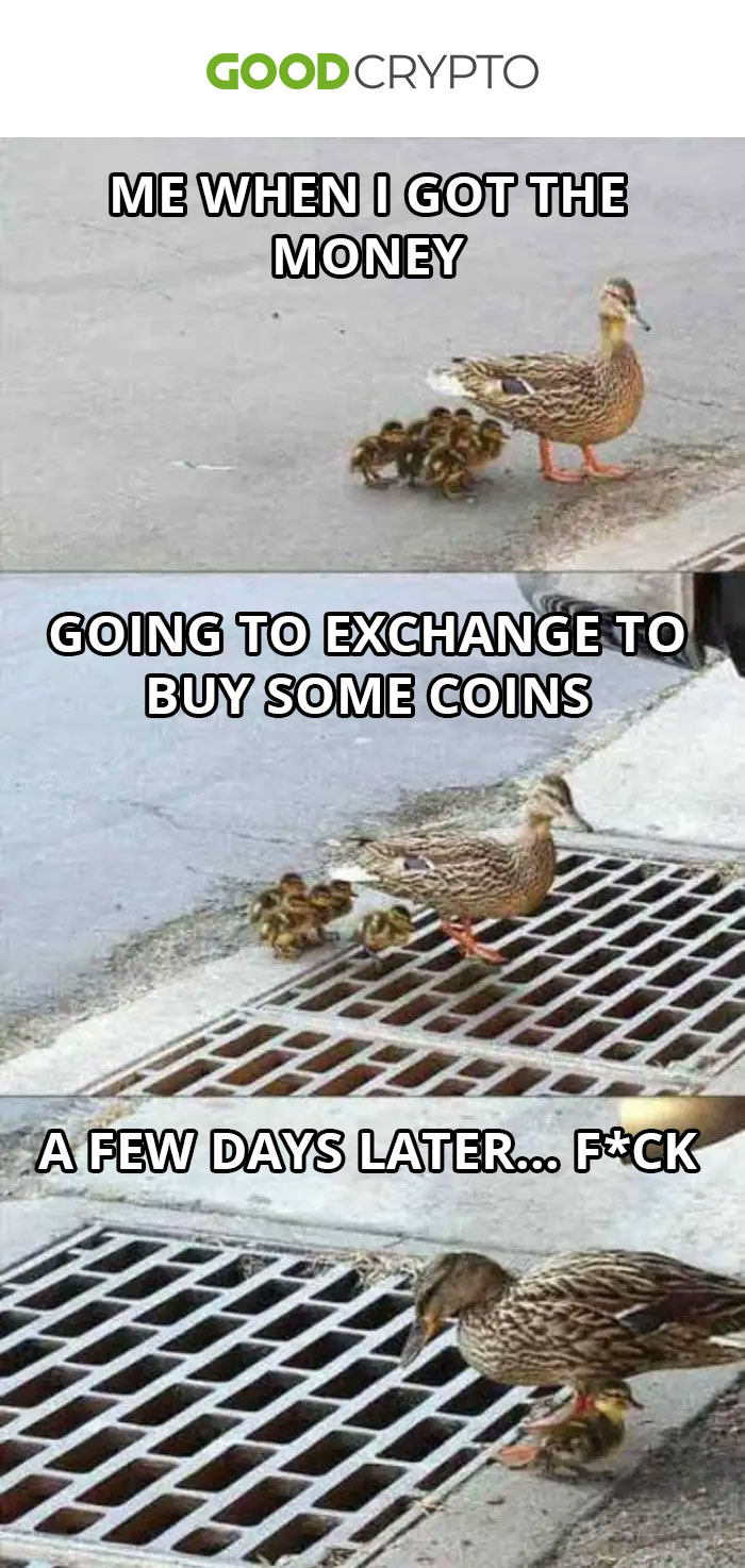 Top cryptomeme of the week