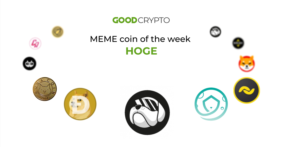 Hoge Finance is a DeFi brother of Dogecoin that combines yield farming with the world of memes.